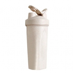 Wholesale Biodegradable Wheat Straw Shaker Cup 600ML Custom Logo Plastic Protein Sport Bottles Shaker Bottle